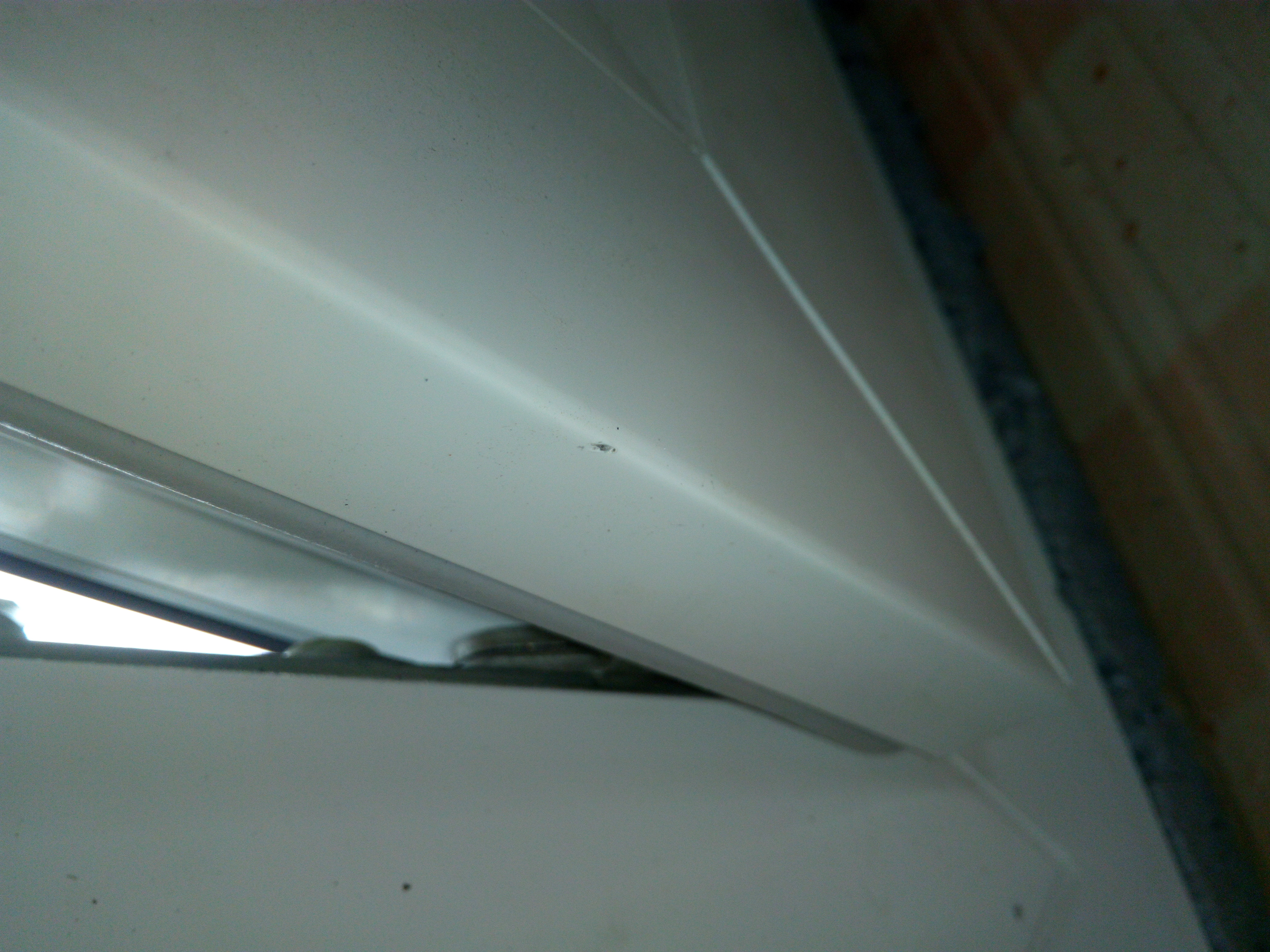 fast-an-jedem-fenster-kratzer-was-ist-da-normal-205396-2.jpg