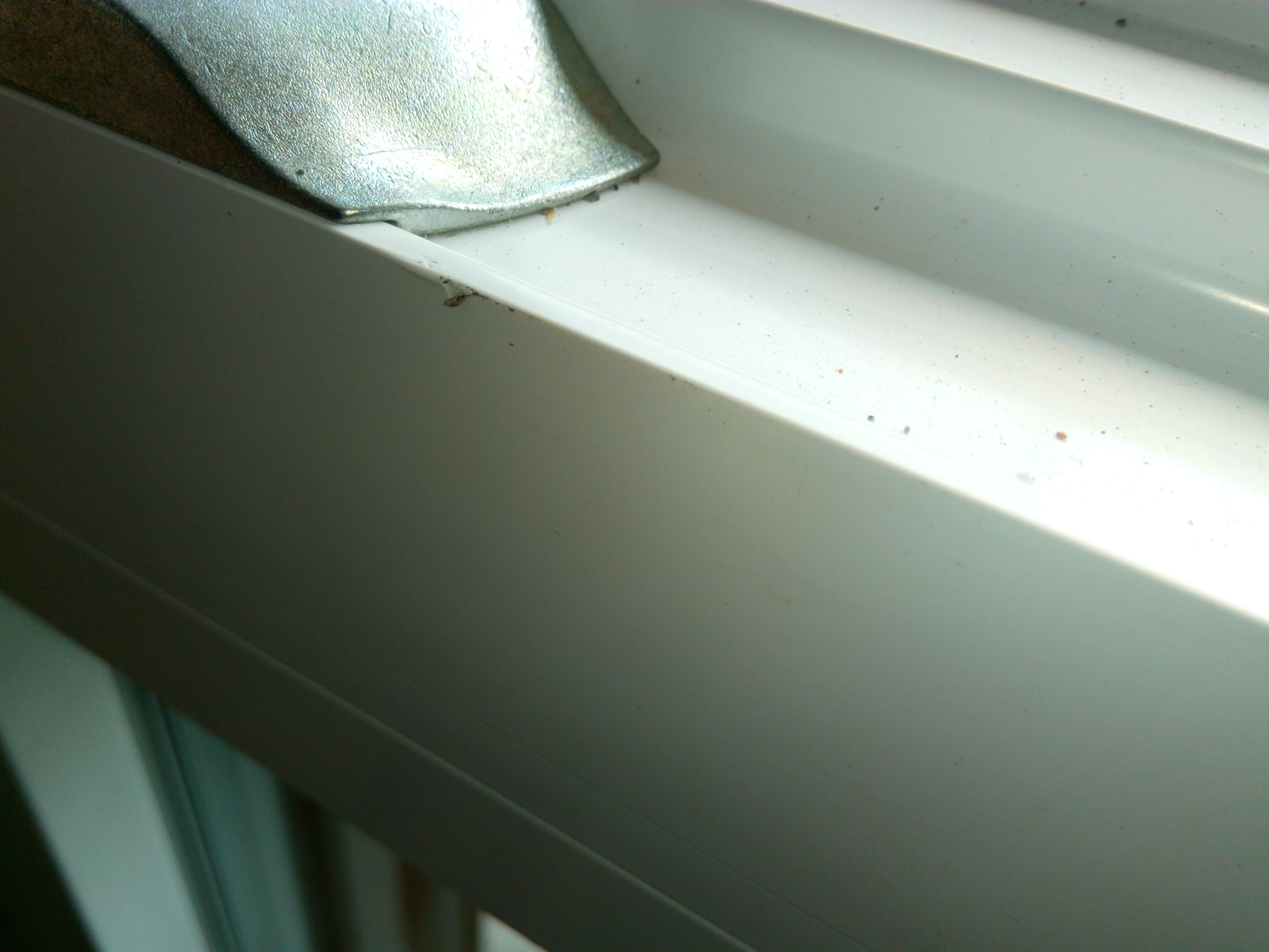 fast-an-jedem-fenster-kratzer-was-ist-da-normal-205396-3.jpg