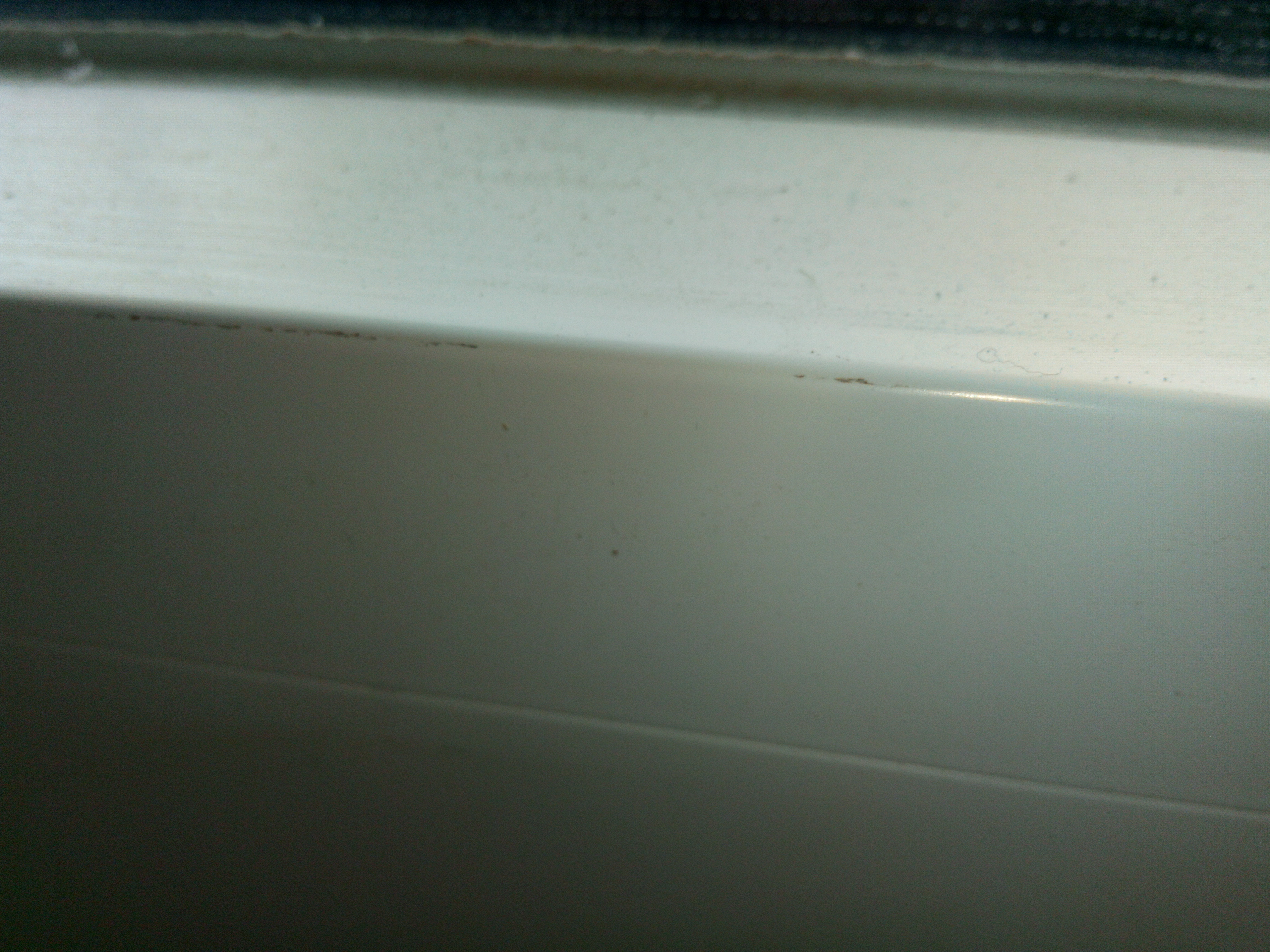 fast-an-jedem-fenster-kratzer-was-ist-da-normal-205396-4.jpg