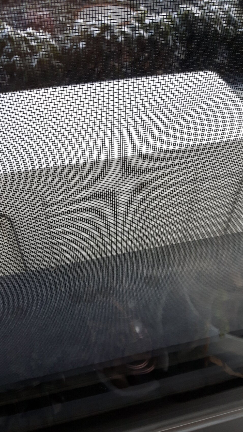 feines-fenster-netz-gitter-aussenansicht.jpg