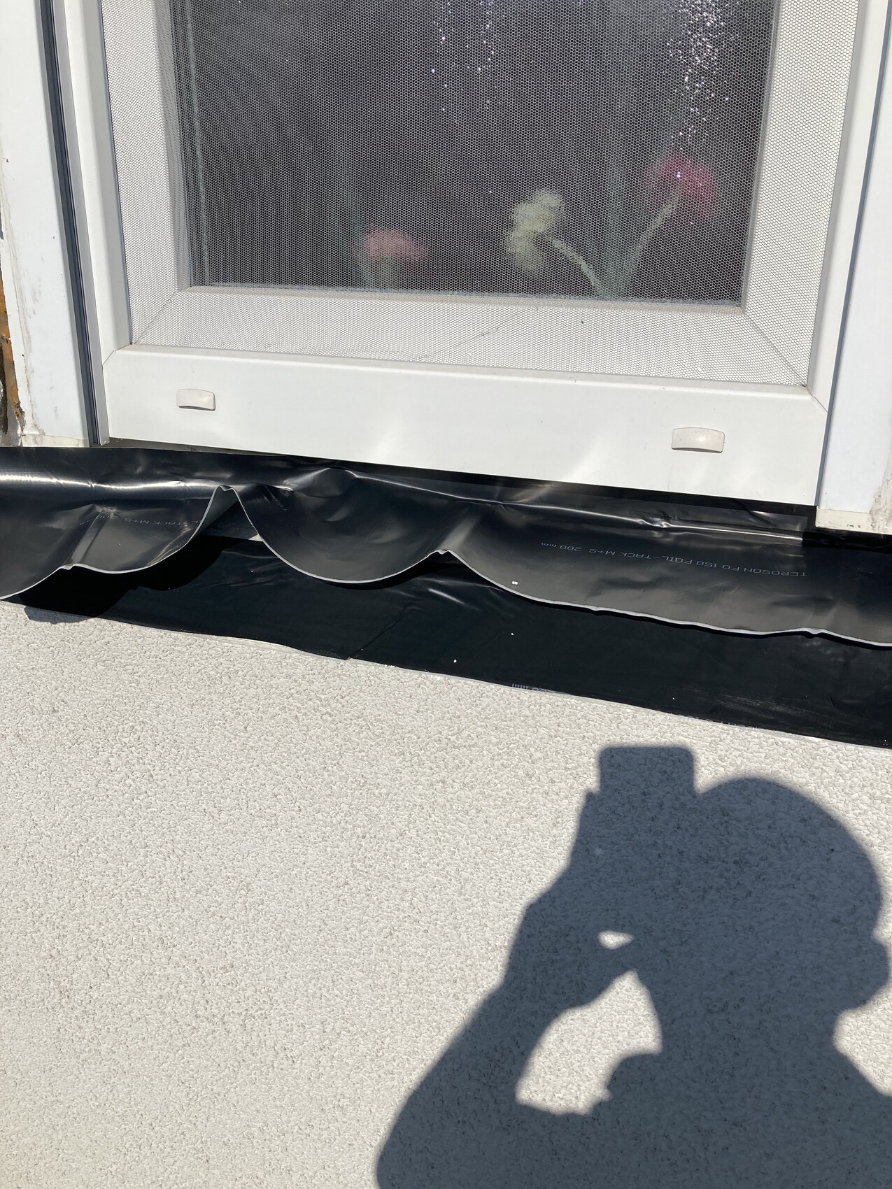 Außentür mit Fliegengitter, unten schwarze Folie, Fotografenschatten sichtbar