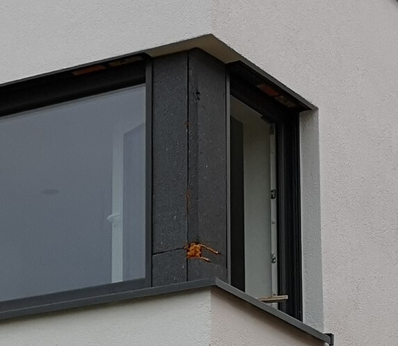 Orangene Spinne am Fensterrahmen eines Gebäudes.