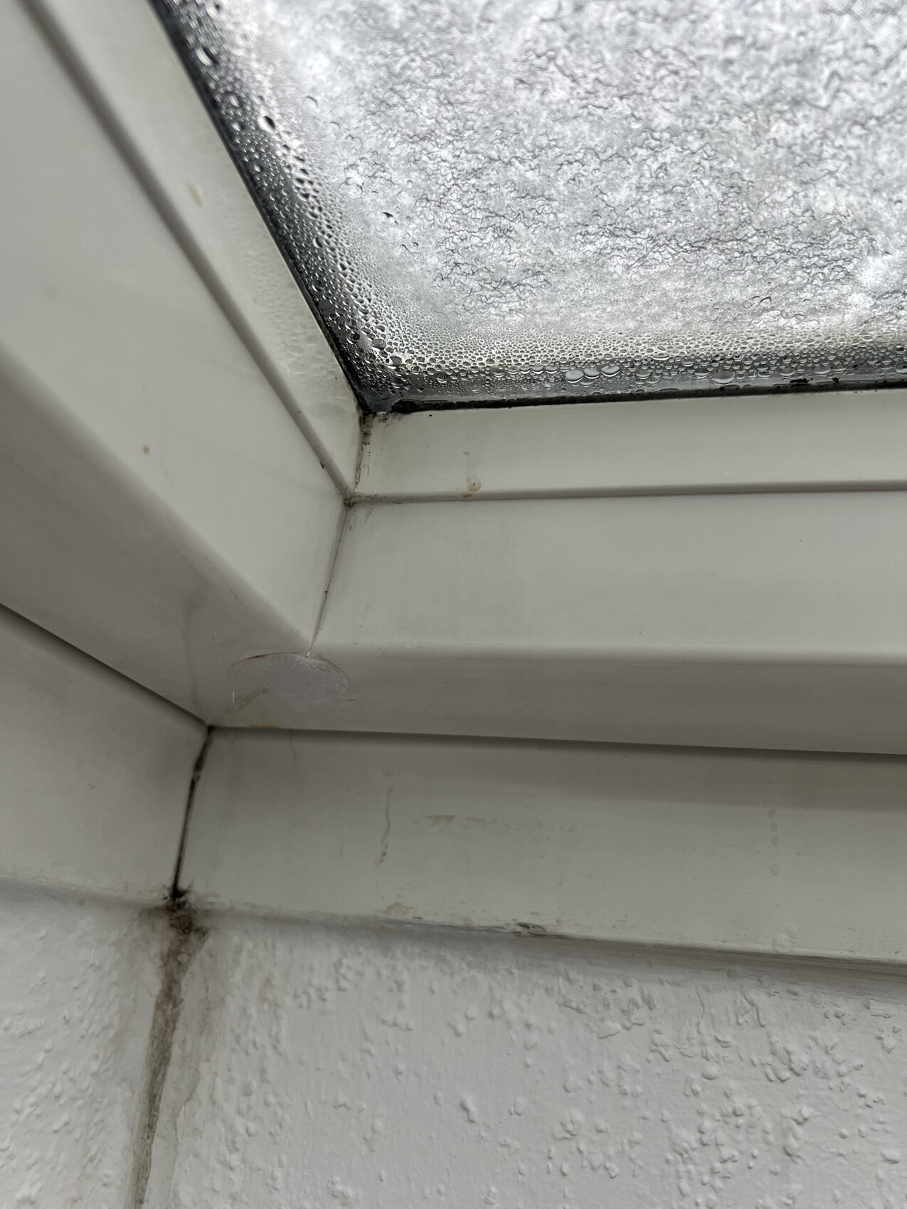 Weißer Fensterrahmen im Innenwinkel; Glas mit Kondenswasser und Tropfen.