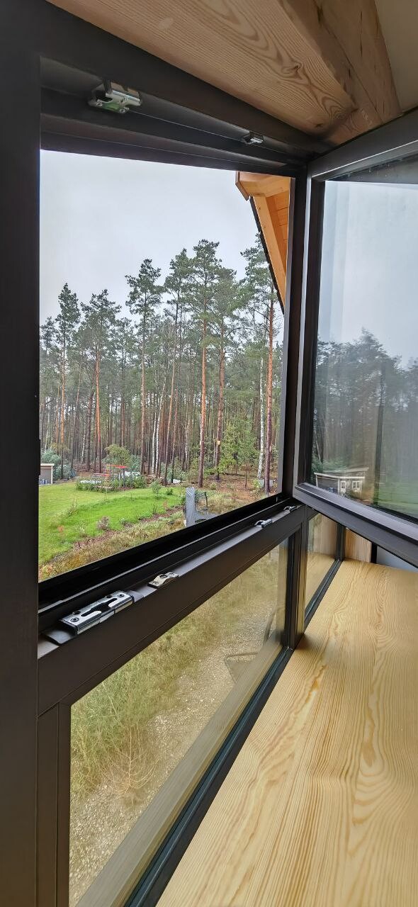 Blick aus einer großen Fensterfront auf einen Wald aus hohen Kiefern; Innenraum mit Holzrahmen.