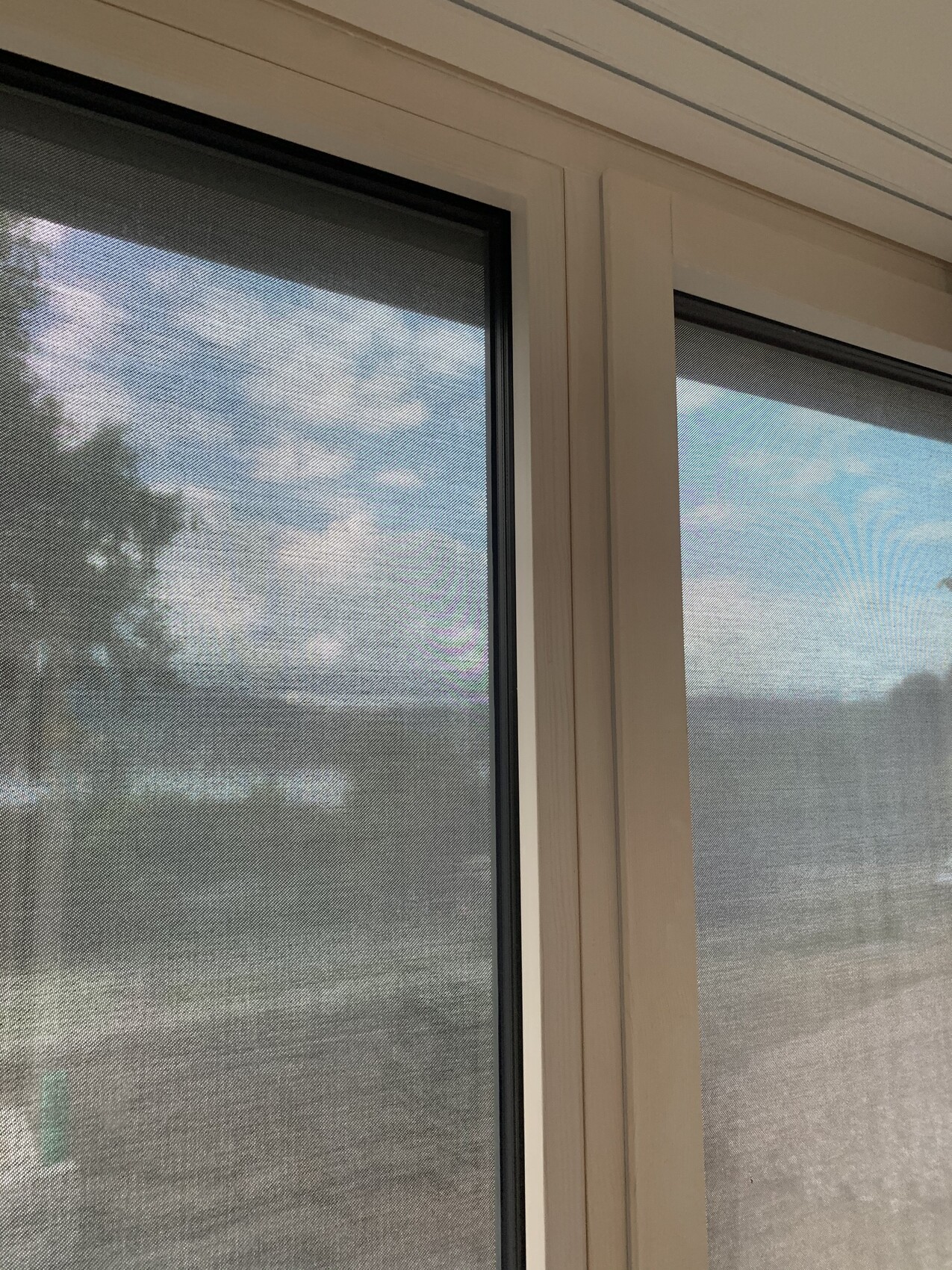 Innenansicht eines weißen Fensterrahmens mit Netz; Blick nach außen auf Himmel und Bäume.