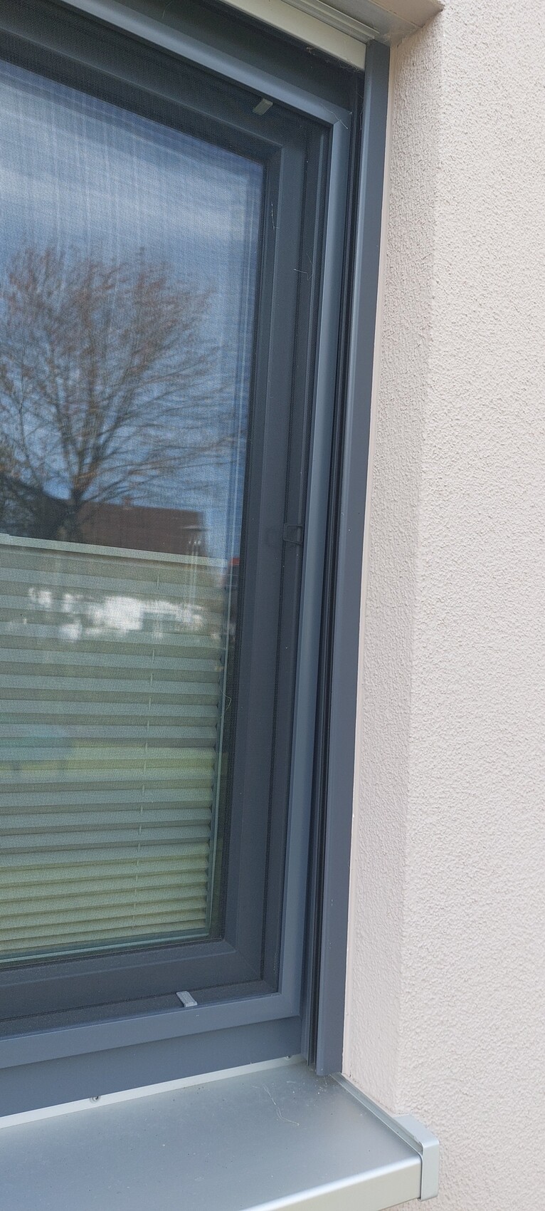 Fensterrahmen in dunkelgrau an heller Außenwand, Blende sichtbar, Baumreflex im Glas