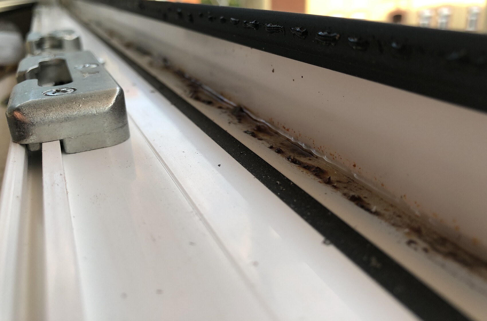 Nahaufnahme eines Fensterrahmen-Tracks mit Rost und Schmutz.