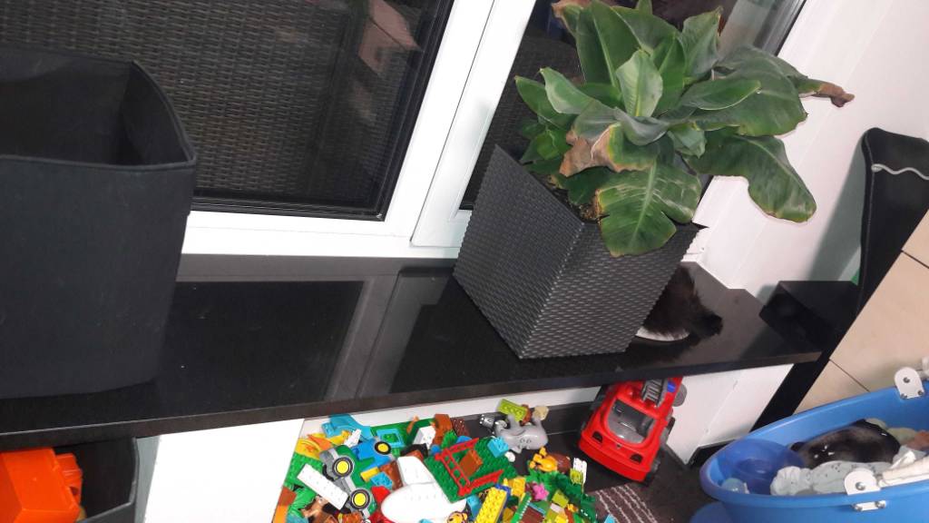 fensterbaenke-innen-welche-tiefe-bzw-ueberstand-242161-1.jpg