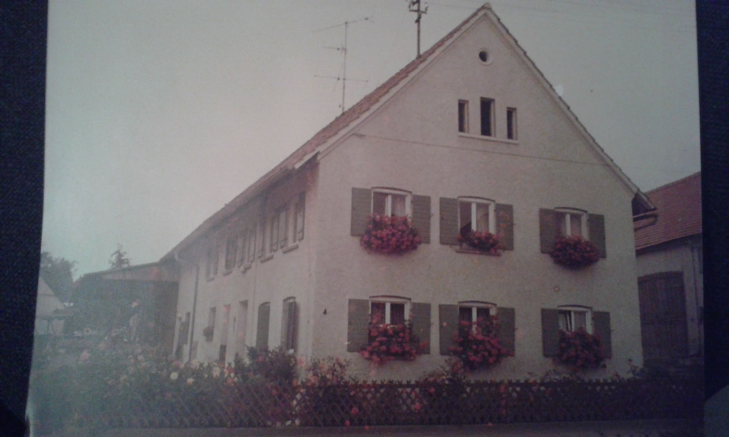 fensterlaeden-welche-farbe-wuerdet-ihr-waehlen-empfehlen-288107-1.jpg