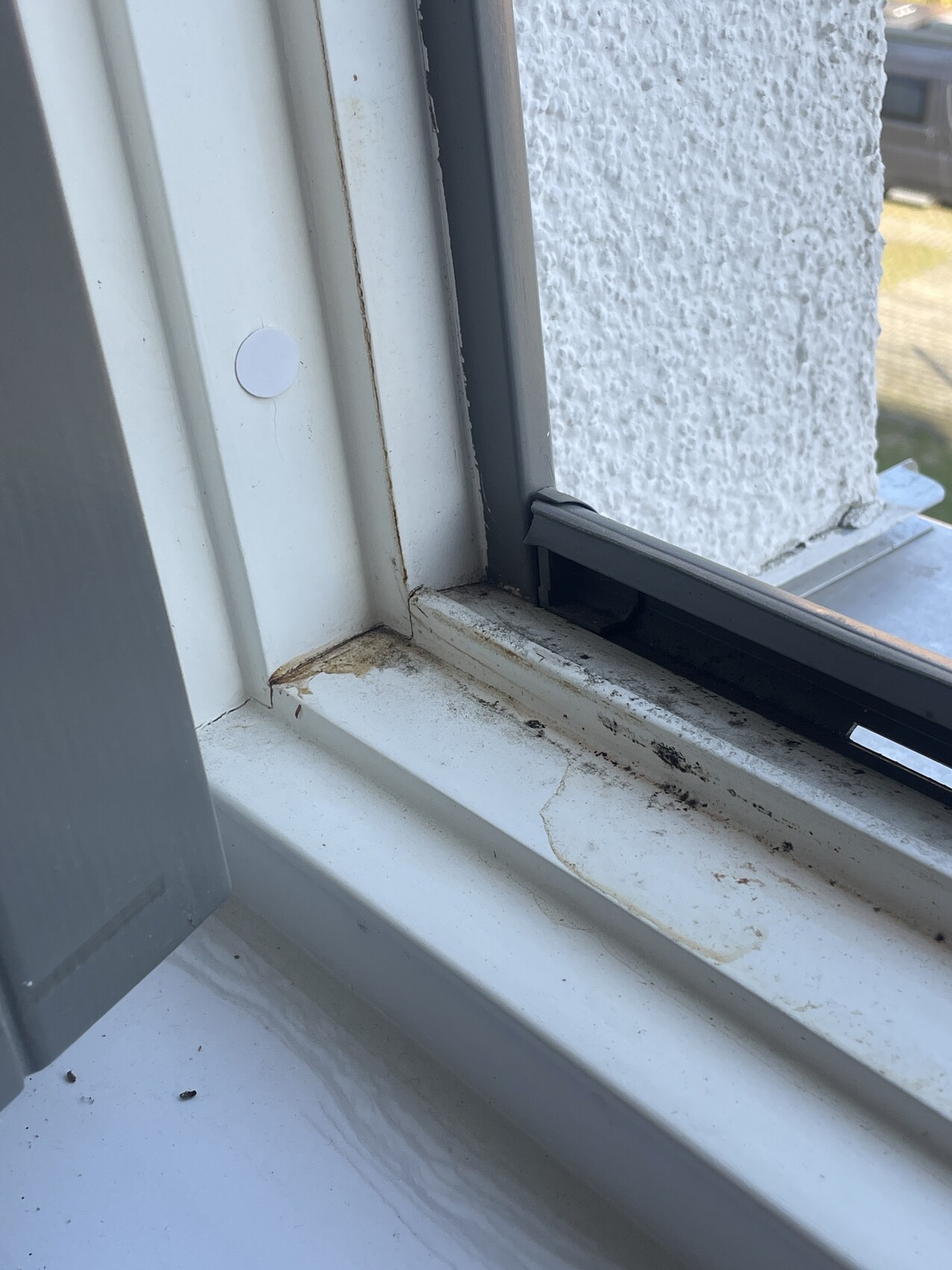 Nahaufnahme eines weißen Fensterrahmens mit Rost- und Schmutzspuren am Fenstersims, äußere Putzwand sichtbar