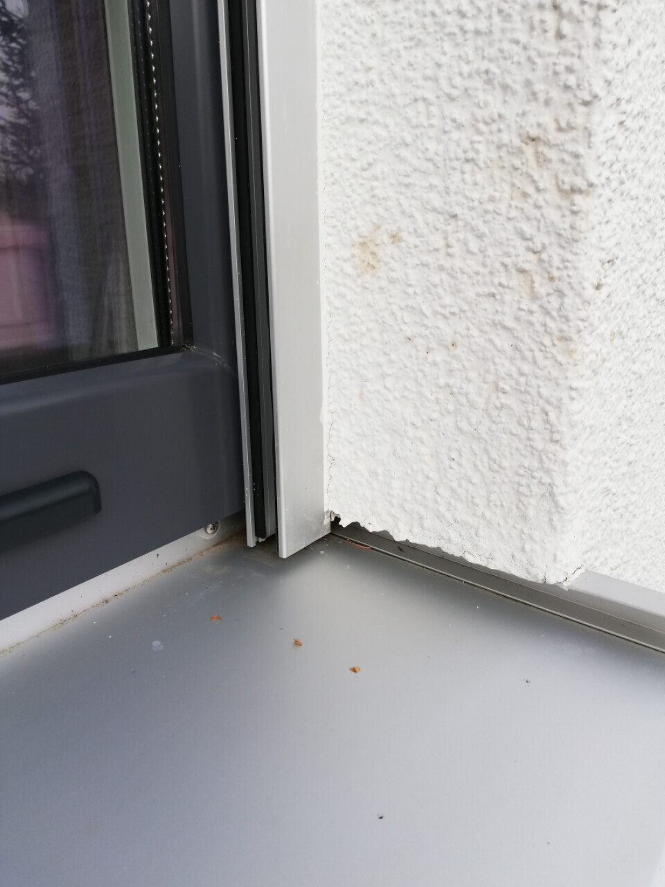 Außenfensterrahmen aus Metall vor rauer weißer Wand, darunter graue Fensterbank.