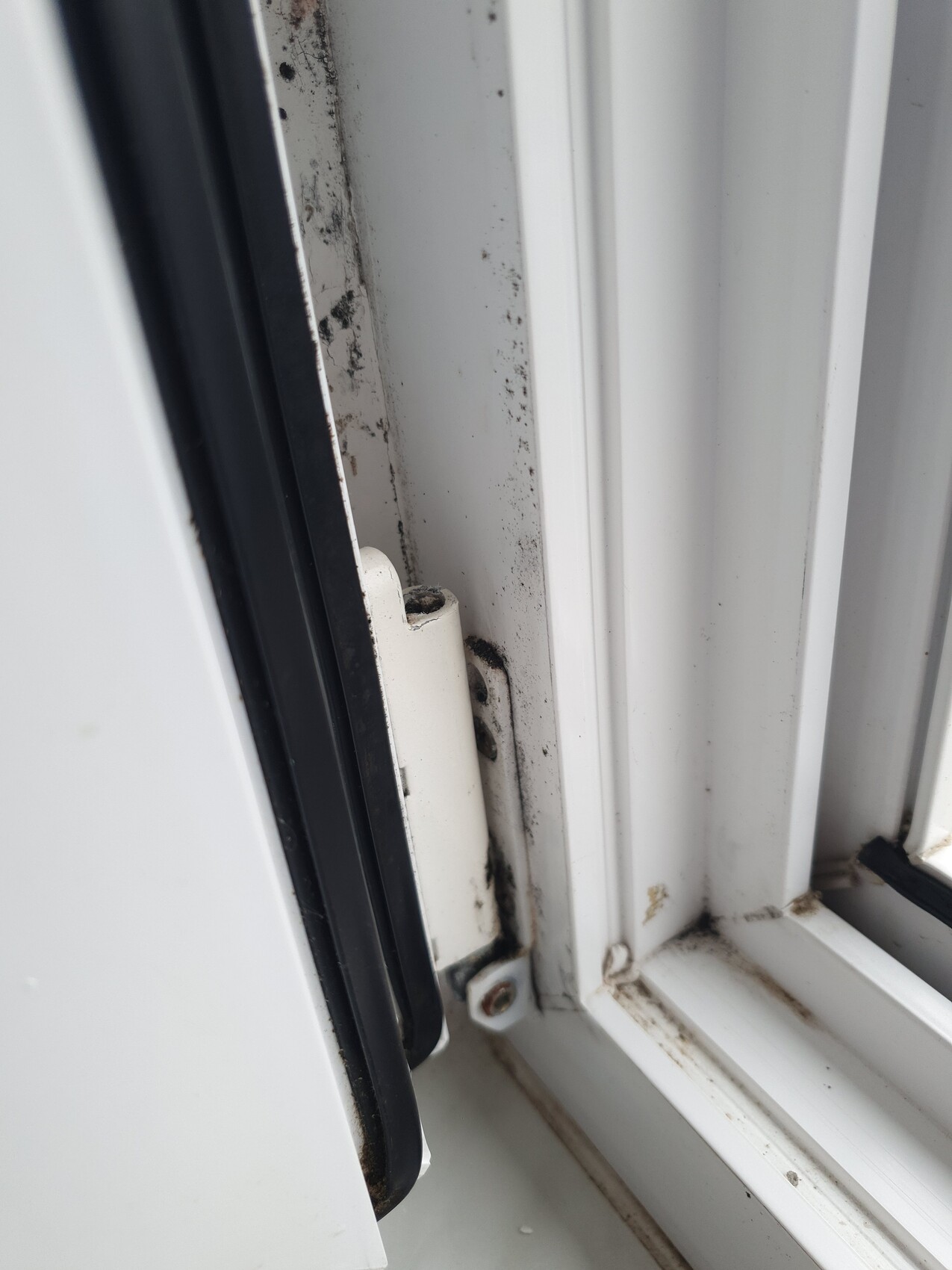 Nahaufnahme eines weißen Fensterrahmens mit Dichtungen, Staub und Rost am Scharnier.