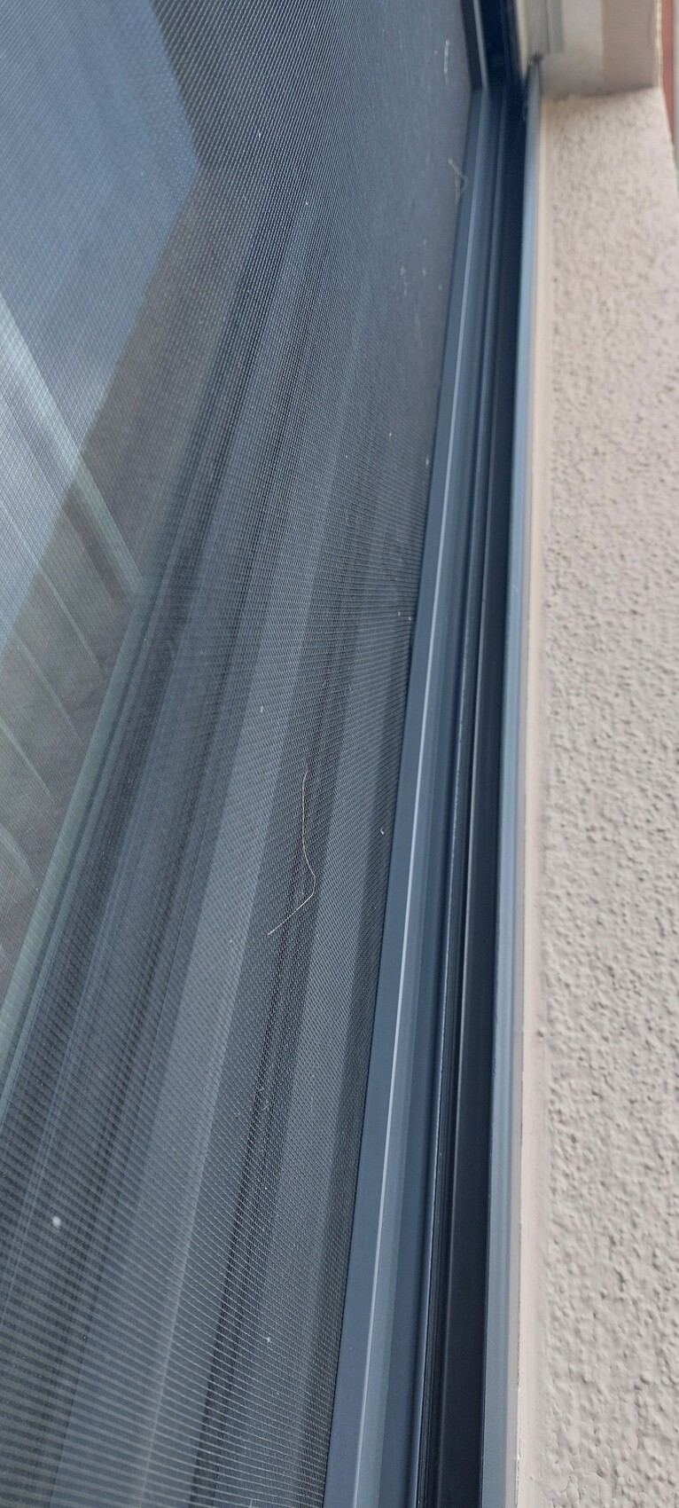 Nahaufnahme eines Fensterrahmens mit Insektenschutznetz und rauem Außenputz