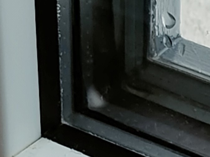 festverglasung-kunststofffenster-undicht-613497-1.jpg