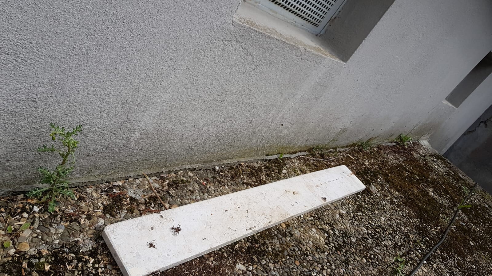 Außenwand mit Lüftungsgitter, Kiesboden, lange weiße Platte, Unkraut am Boden