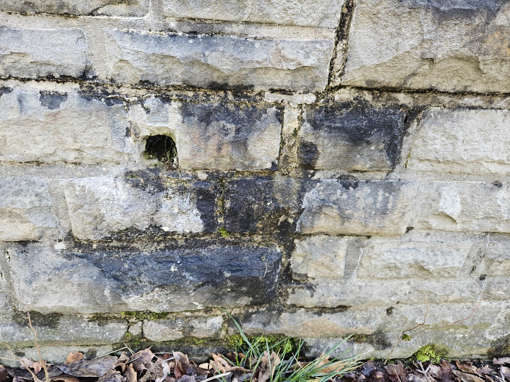 Steinmauer mit dunklen Flecken, kleinem rechteckigen Loch und Moos am Boden.