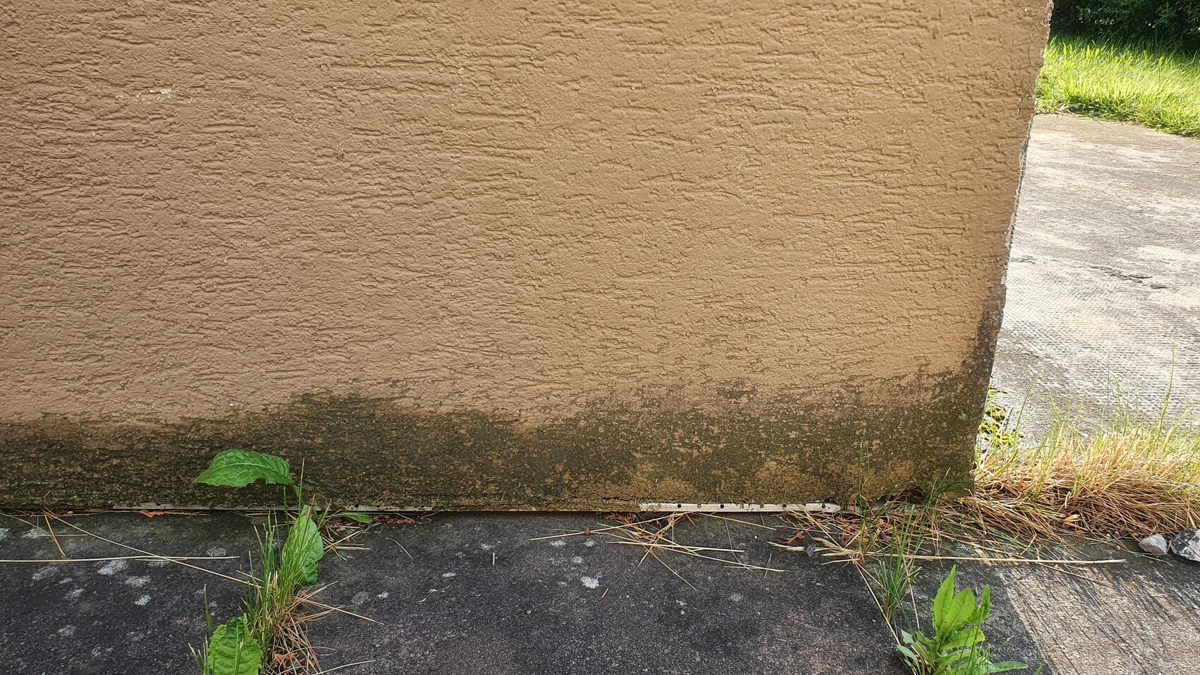 Beige verputzte Außenwand mit dunkler Algenkante unten; Unkraut am Boden.