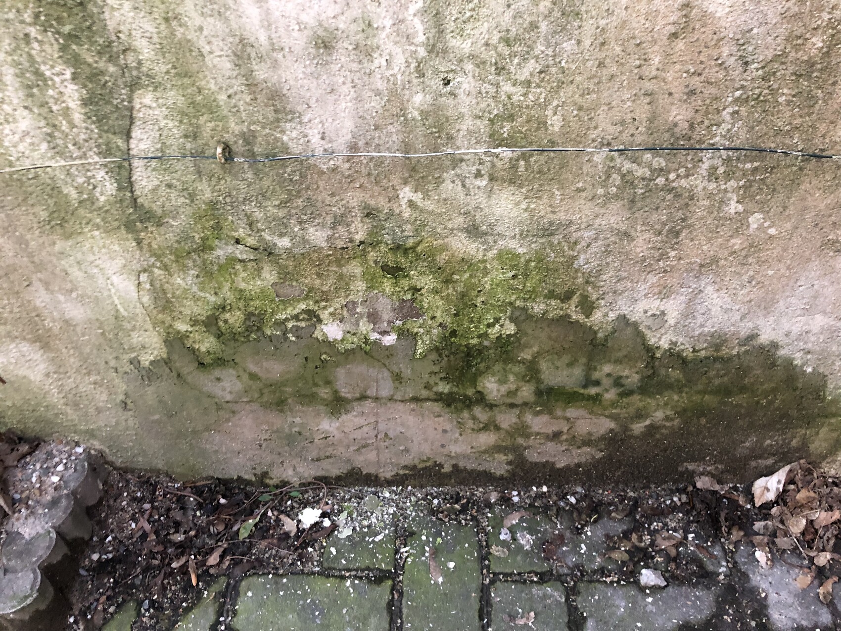 Moosbewachsene Steinwand mit Algenflecken, Drahtseil und darunter Pflastersteine.