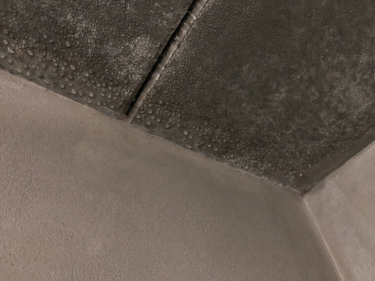 Eckenansicht: dunkle Deckenpaneele mit Wassertropfen über einer hellen Wand.