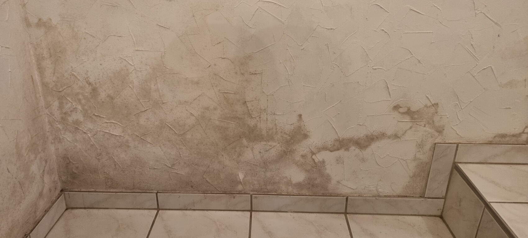 Beigefarbene, texturierte Wand mit dunklem Schmutz- und Schimmelbefall am unteren Rand über Fliesen.