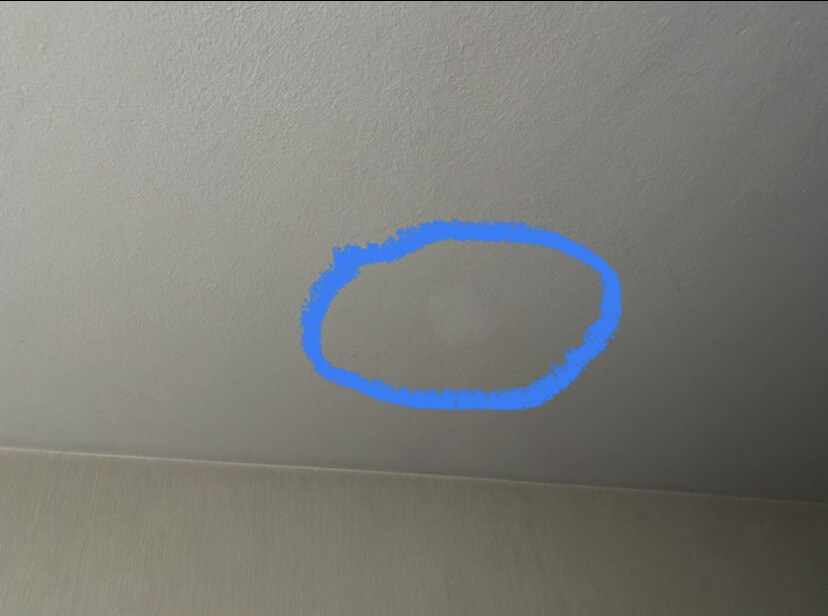 Kleiner runder Fleck an der Decke, von einer blauen Umrandung umgeben.