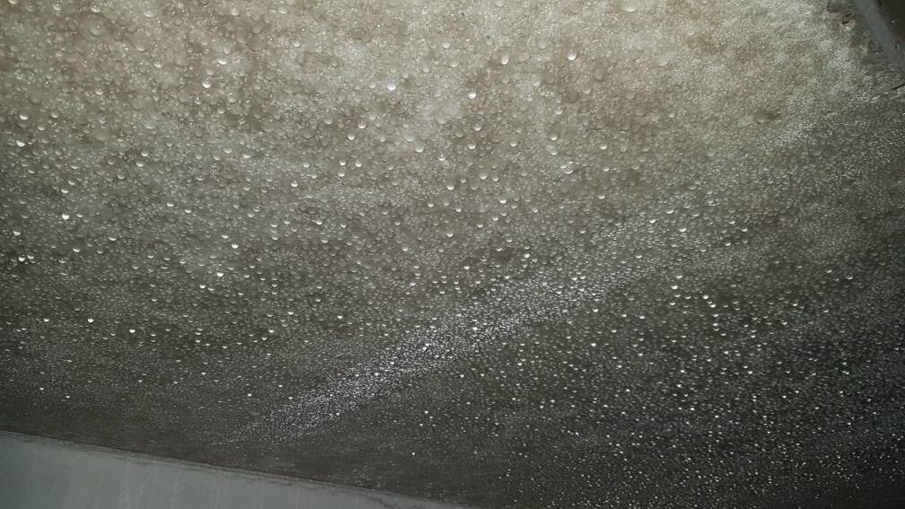 Feuchte Decke mit vielen Wassertröpfchen, Kondensation an der Oberfläche sichtbar.