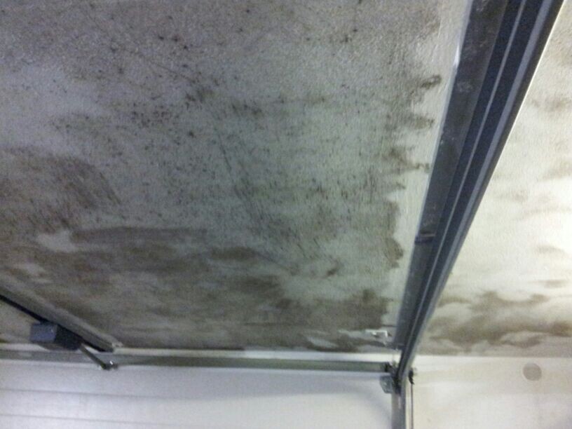 Feuchte Decke mit Schimmelbildung und Feuchtigkeitsschaden an der Decke