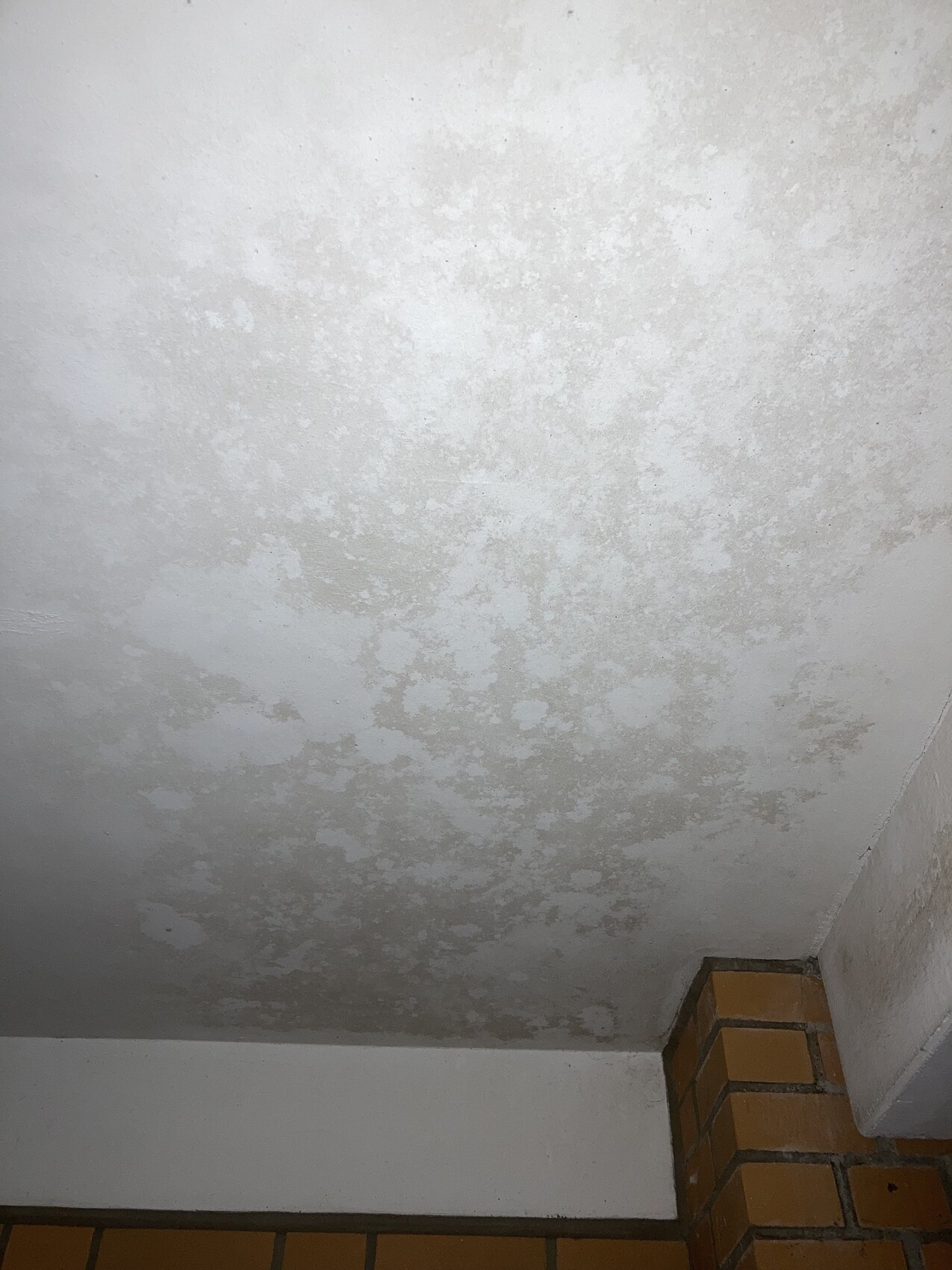 Decke mit Feuchtigkeits- und Schimmelflecken; Ecke einer Ziegelwand sichtbar.