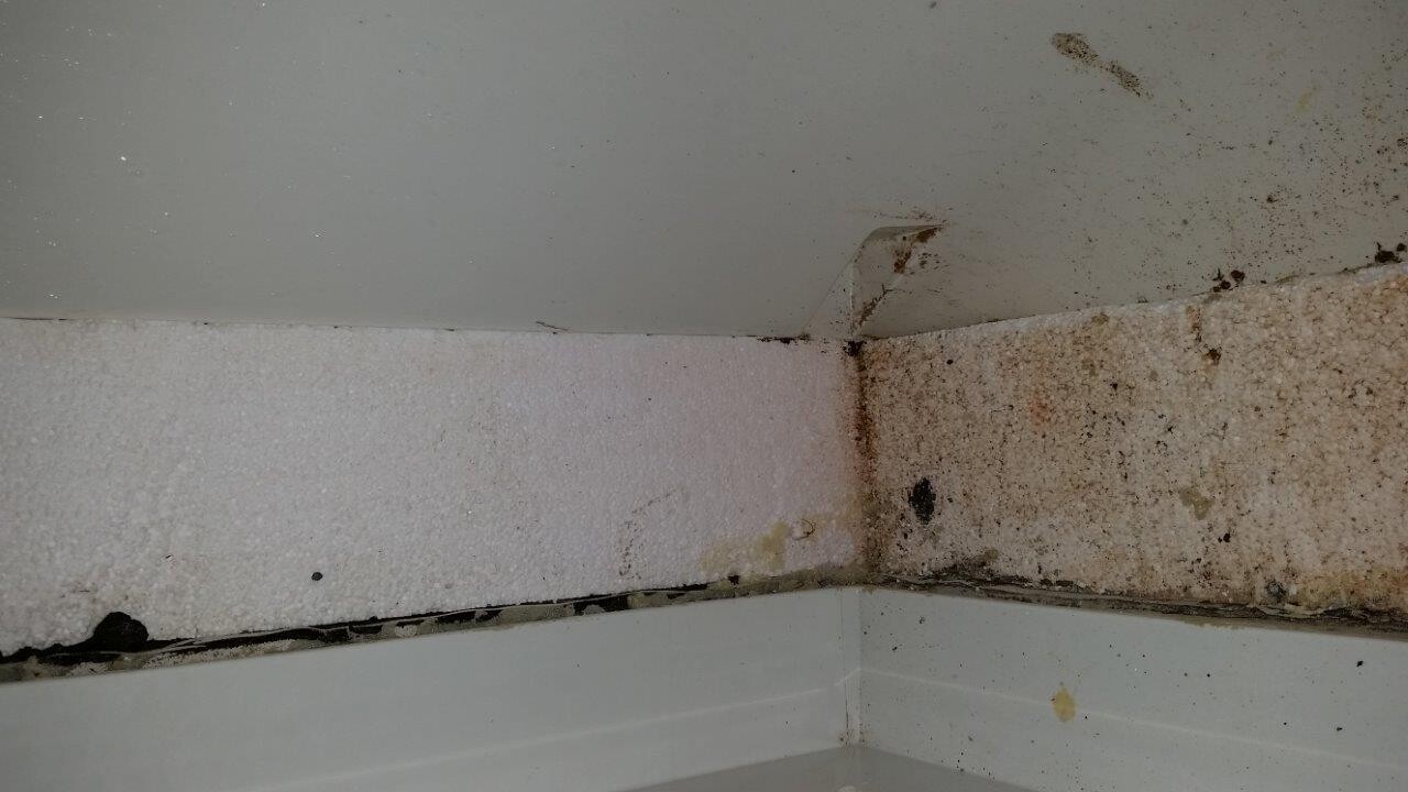 Eckbereich einer feuchten Wand mit Schimmel- und Flecken am Sockel.