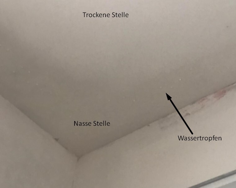 Decken- und Wandbereich mit trockener Stelle, nassem Fleck und einem Wassertropfen.