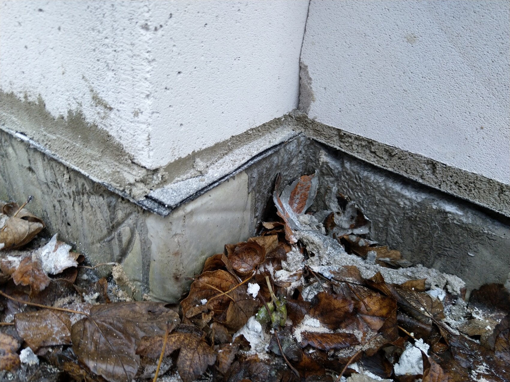 Ecke am Hausfundament mit bröckelndem Putz, offener Betonkante und Herbstlaub.