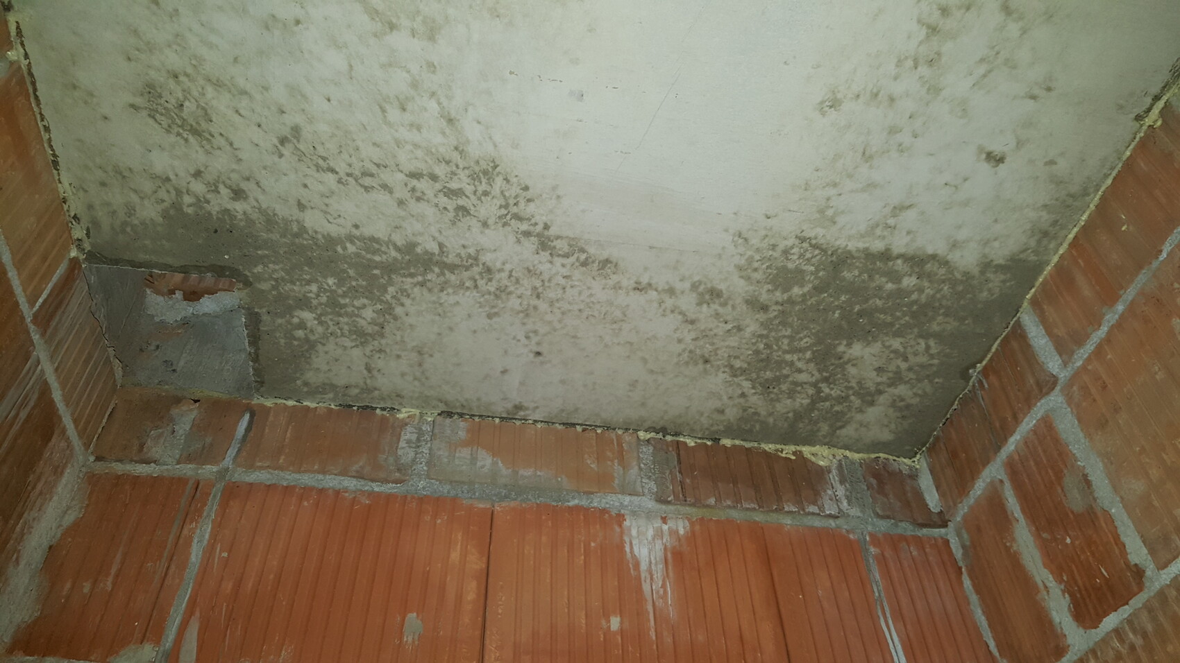 Kellerraum mit Feuchtigkeit und Schimmel an Decke und Ziegelwänden