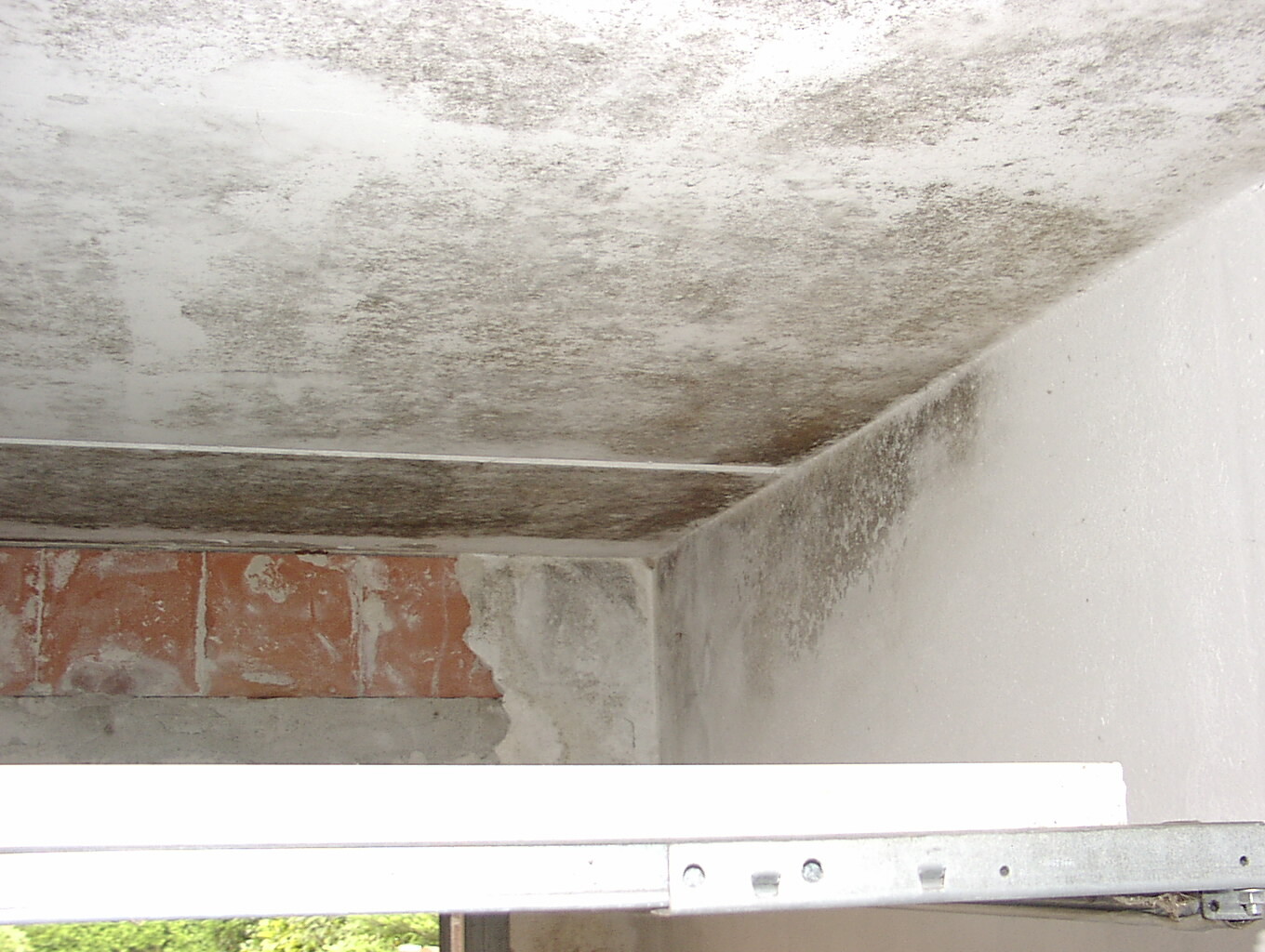 Kellerraum mit dunklem Schimmel an Decke und Wand, rote Ziegelreste sichtbar.