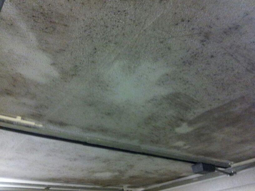 Decke mit Feuchtigkeit und Schimmel im Kellerbereich.