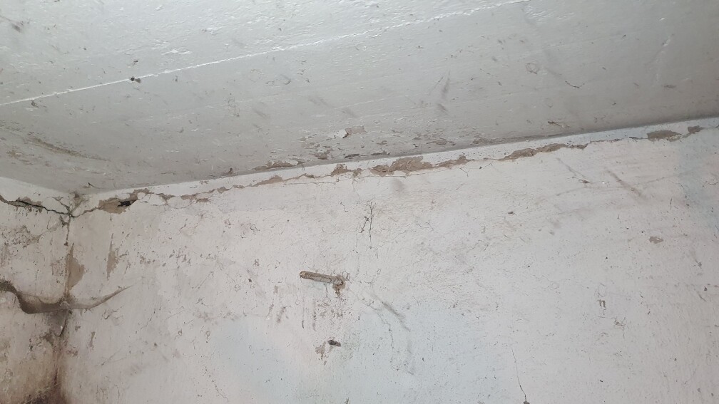 Kellerraum mit feuchter, rissiger Wand und Decke; kleine Metallstange an der Wand
