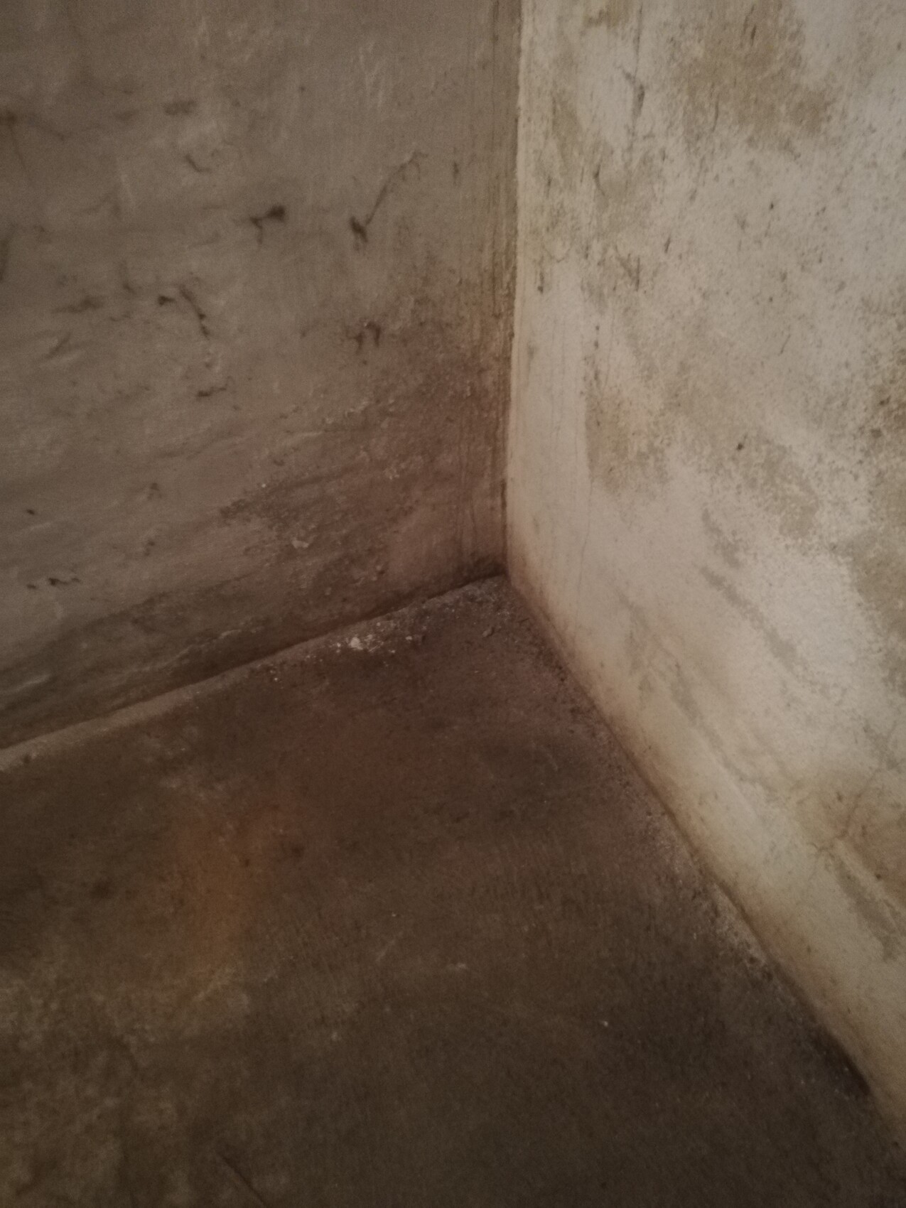 Keller-Ecke mit feuchten, dunklen Betonwänden und staubigem Boden.