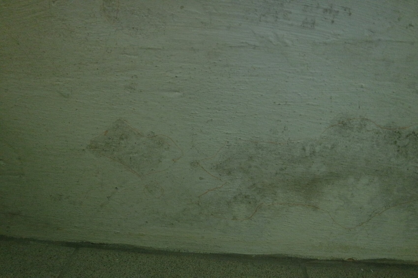 Feuchte Kellerwand mit Verfärbungen und dunklen Streifen am Boden.