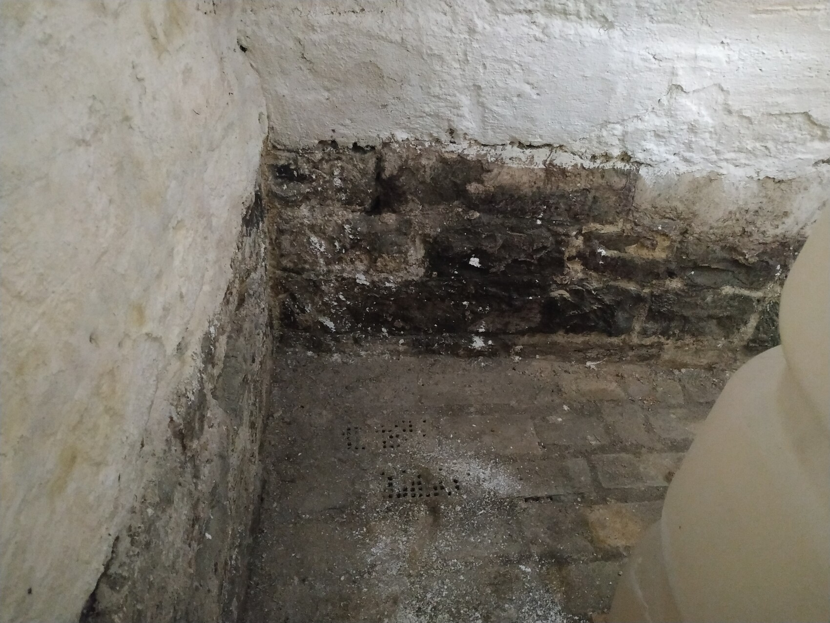 Kellerraum mit feuchter Steinwand, dunklen Verfärbungen und staubigem Boden.