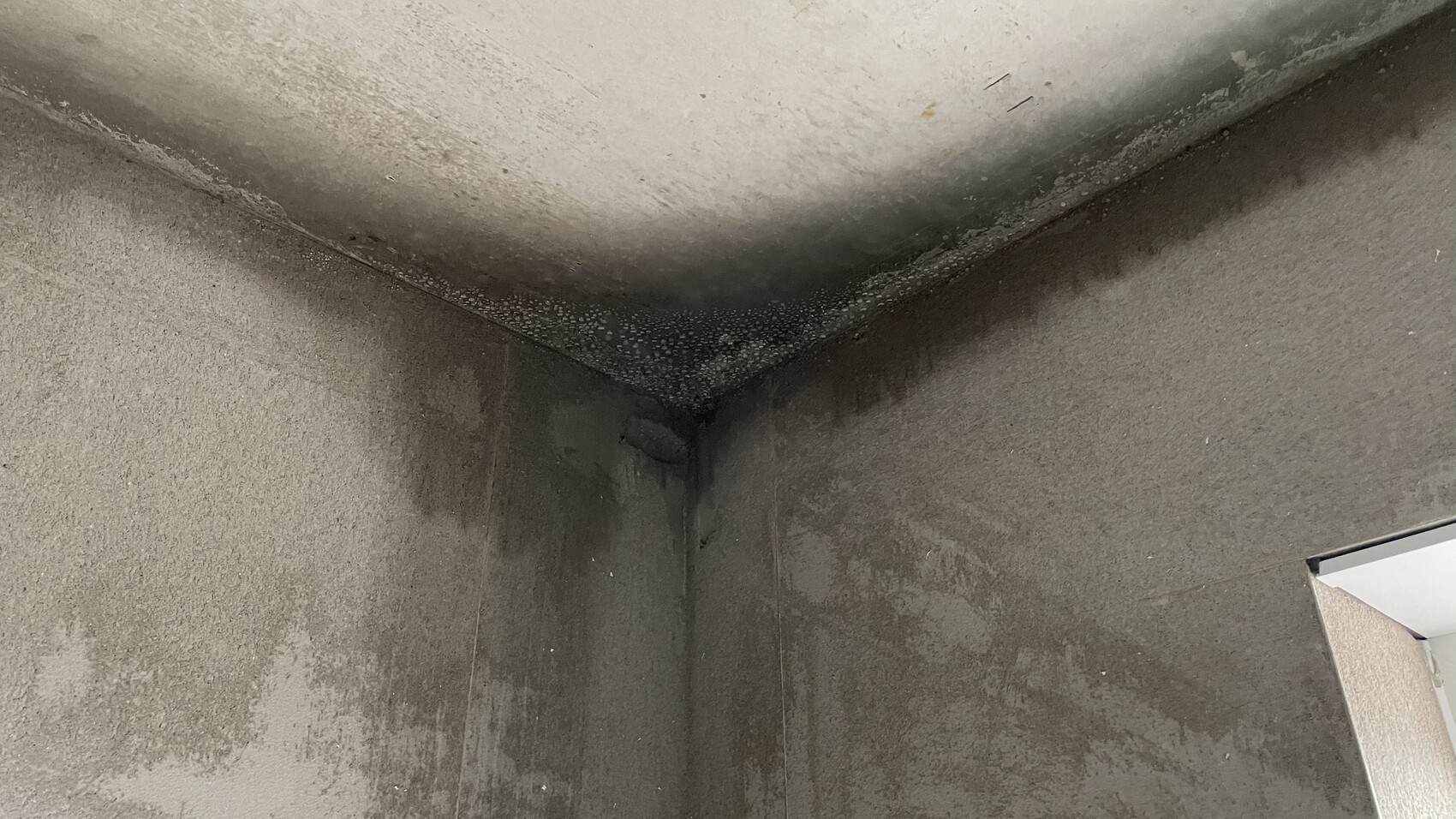 Feuchte Betonwände in einer Ecke mit dunklen Wasserflecken und Schimmel.
