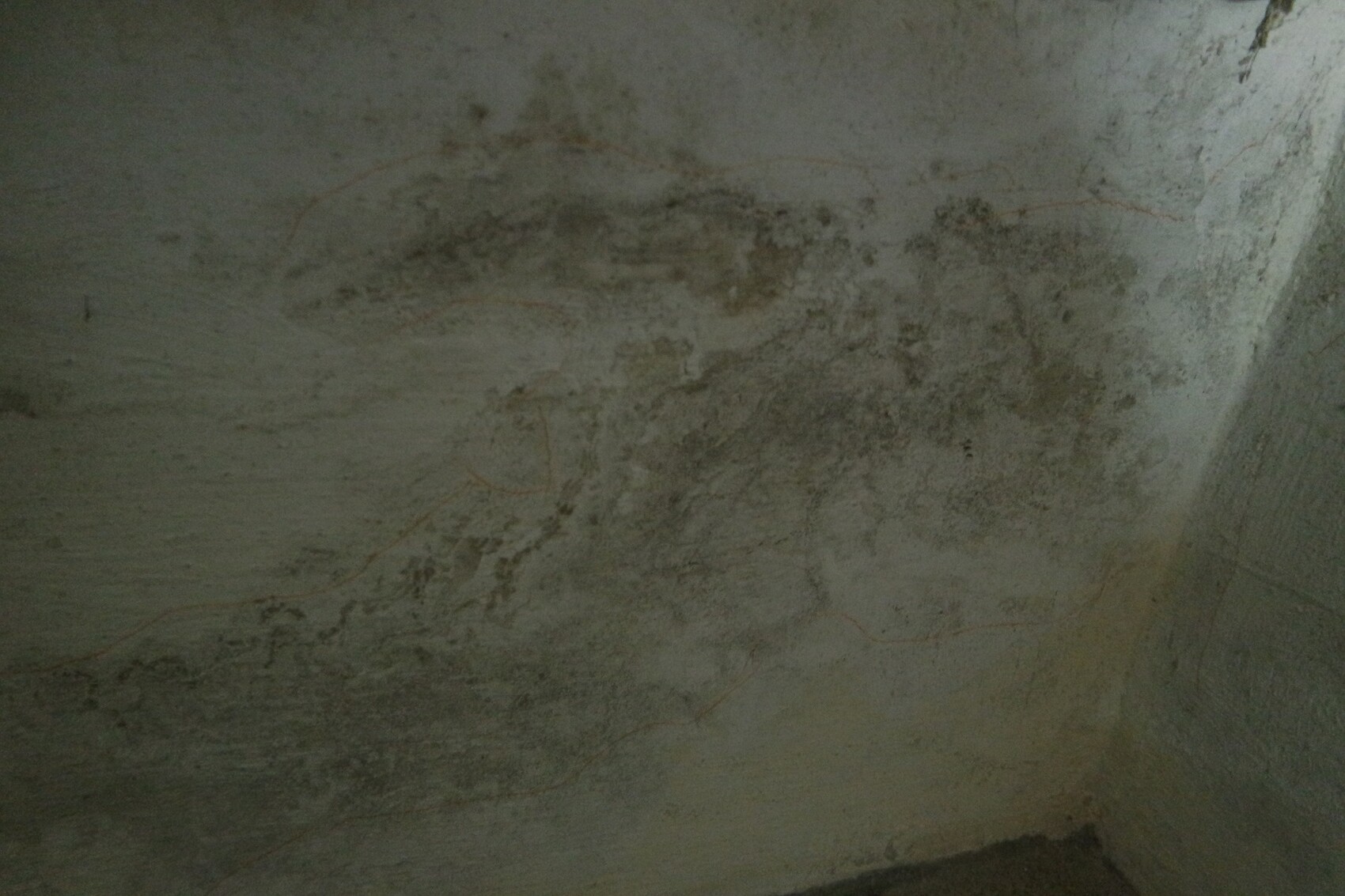 Dunkle feuchte Kellerwand mit Verfärbungen und Schimmelspuren