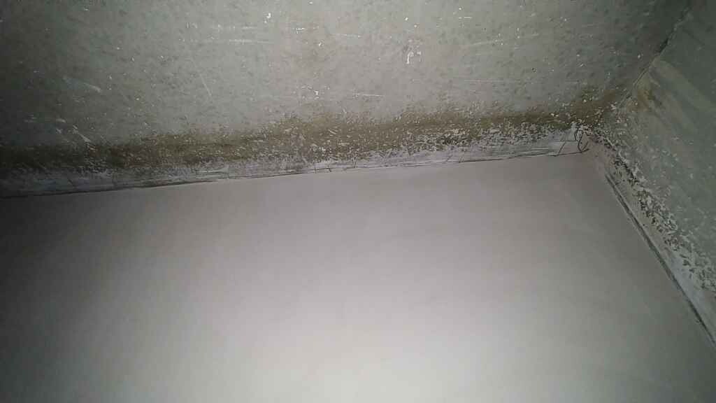 Keller-Ecke mit feuchter Wand, Schimmel am Rand und rohem Betonboden.
