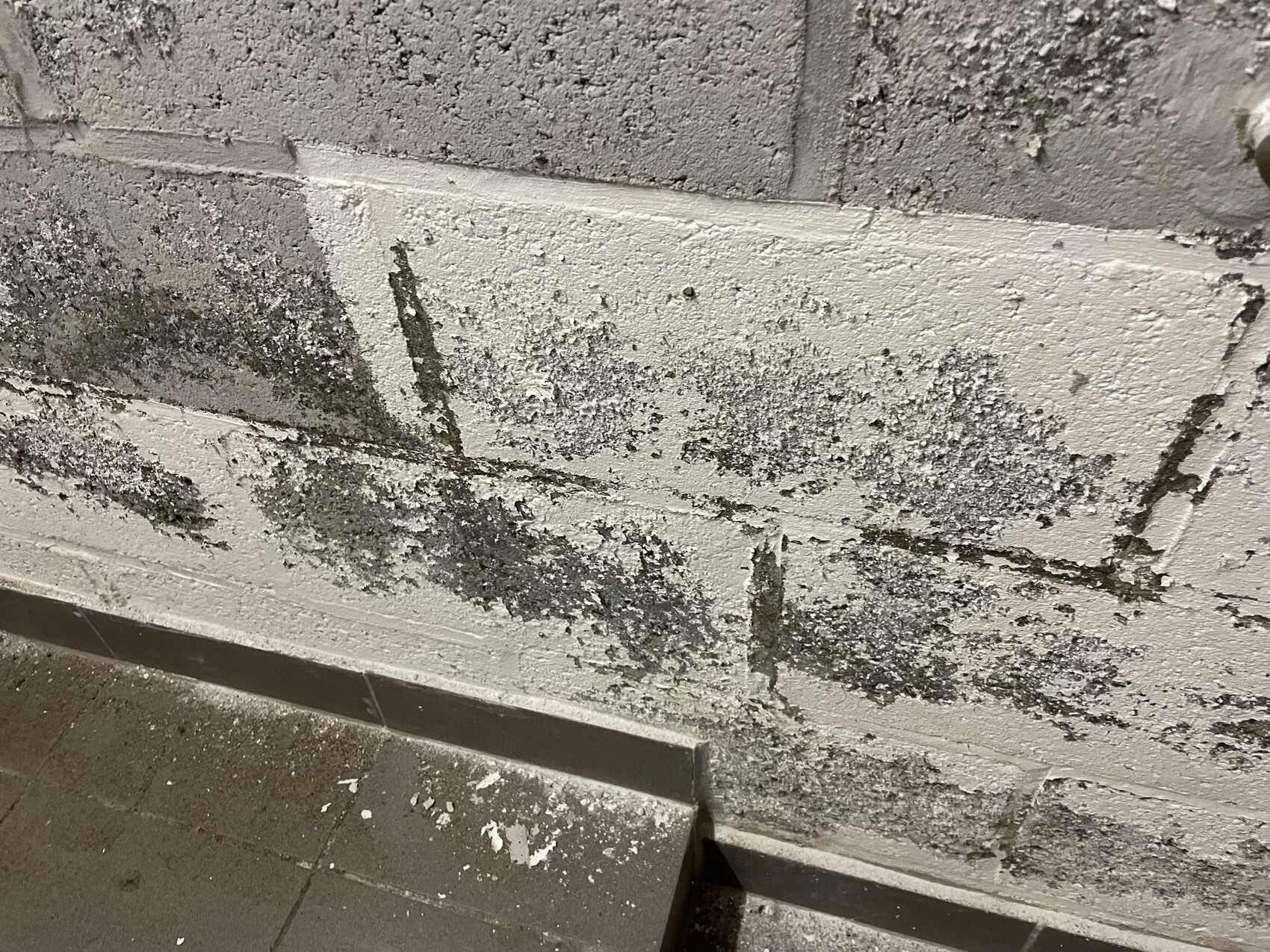 Feuchte Kellerwand aus Beton mit schwarzen Schimmel- und Feuchtigkeitsflecken; Boden unten.