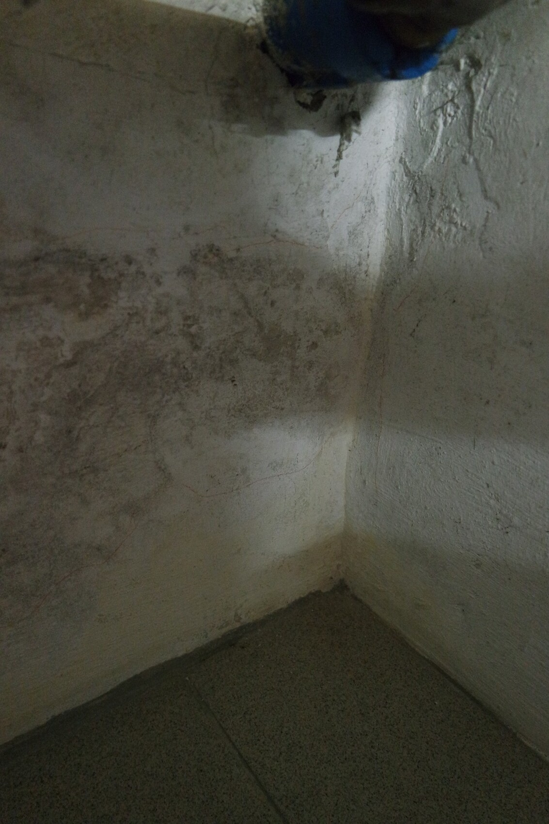 Keller-Ecke mit feuchten Wänden, rauem Putz und feuchtem Boden.