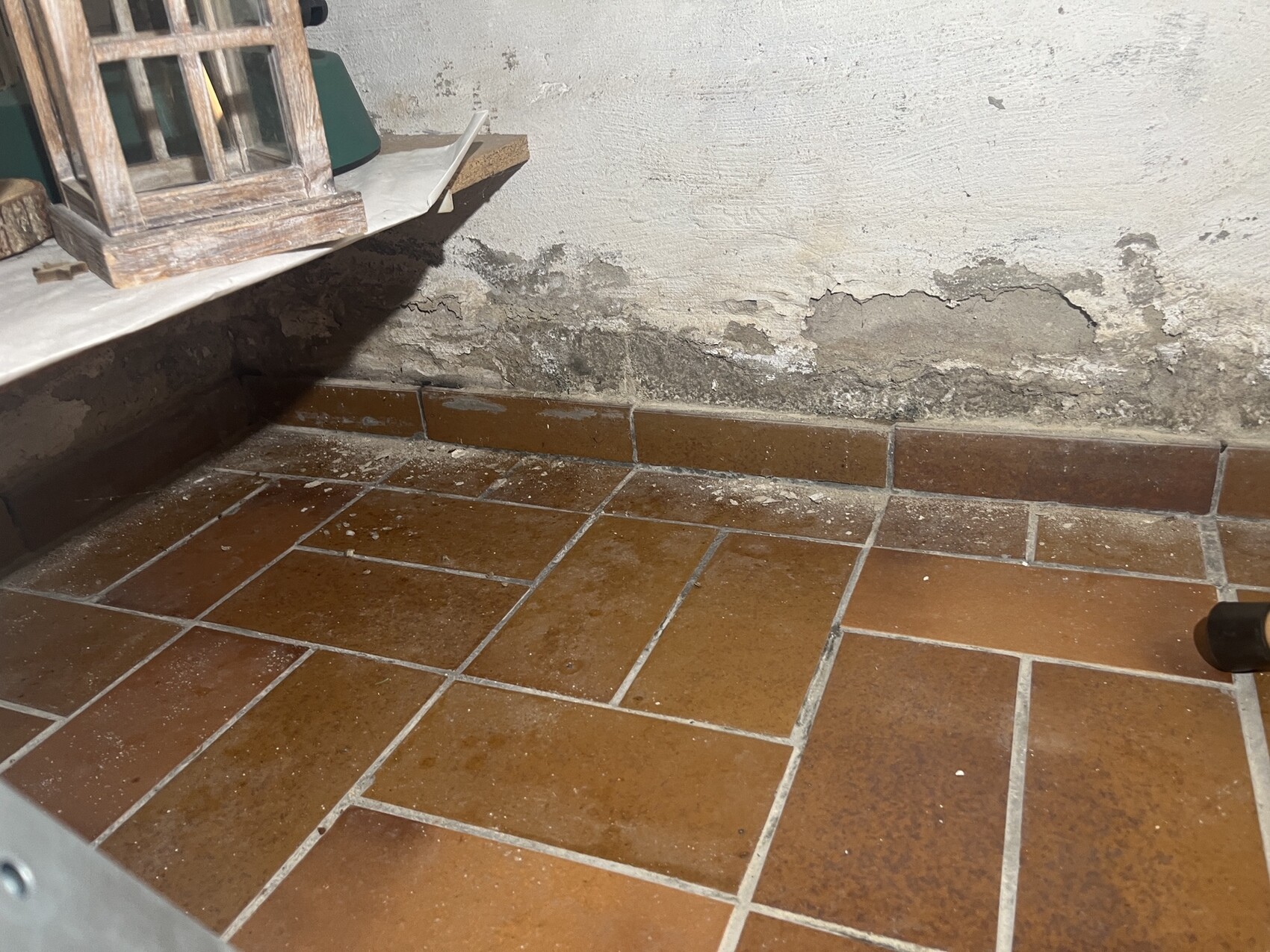 Keller-Ecke: bröckelige Wand, Feuchtigkeit, braune Fliesen, Staub, Holzgitter auf Regal.
