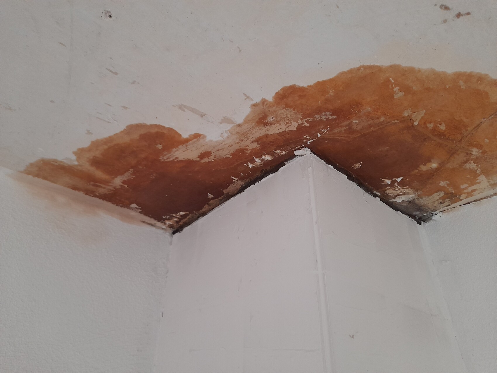 Rost- und Feuchtigkeitsschäden an der Decken-Wand-Ecke mit orange-braunen Flecken.