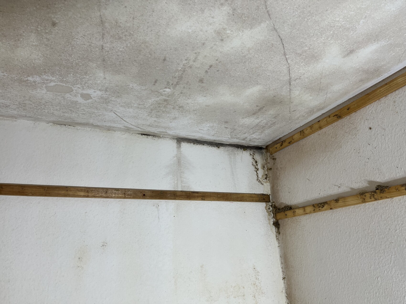 Innenraum-Ecke mit Feuchtigkeitsschäden an Wand und Decke sowie Holzbalken.