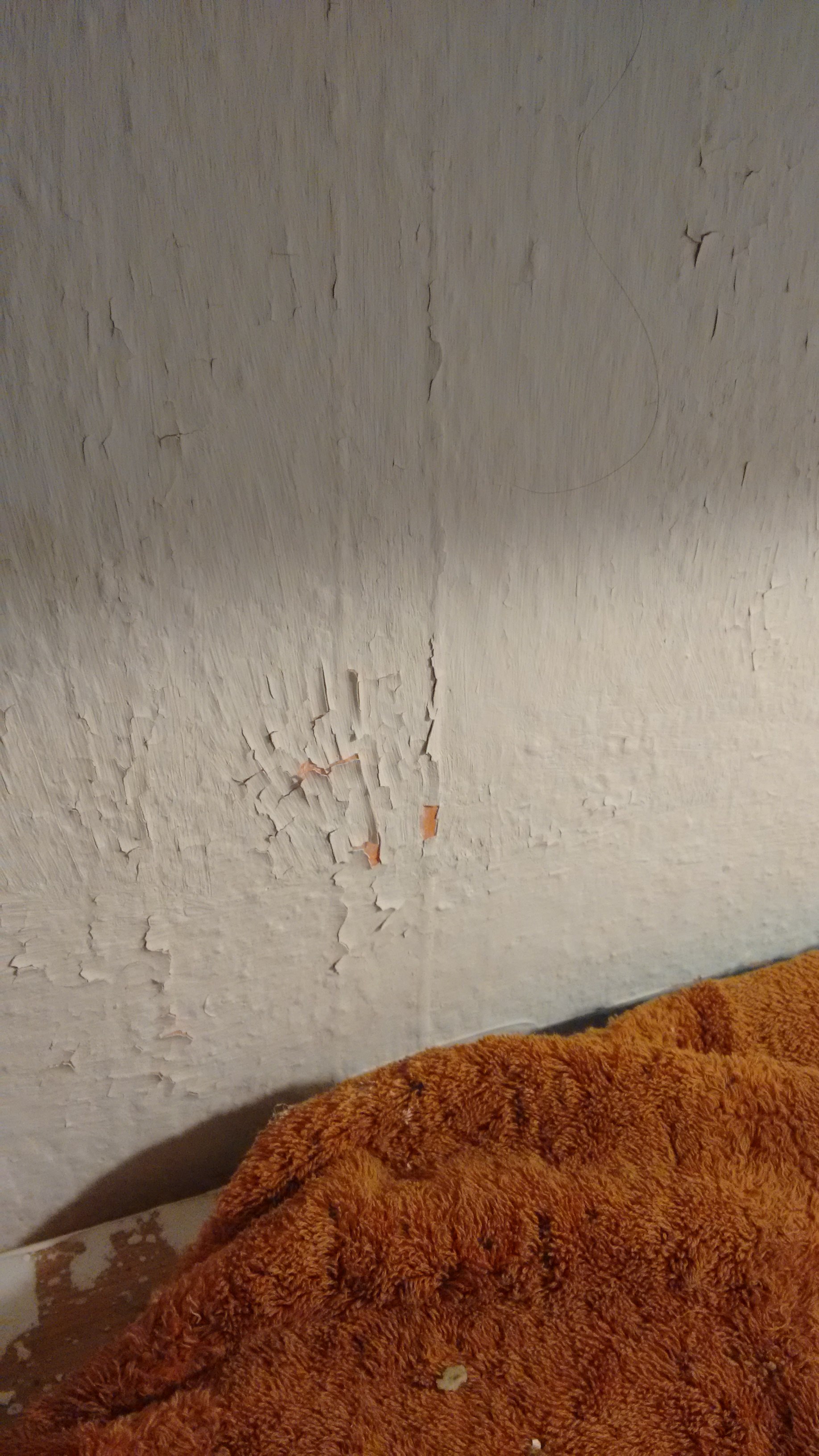 feuchte-schaeden-wand-putz-peeling-innere-raum-renovierung.jpg
