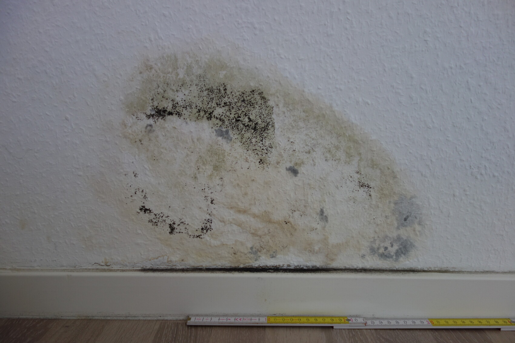 Schimmelflecken und Feuchtigkeit an weißer Wand über Sockelleiste, Messband am Boden.