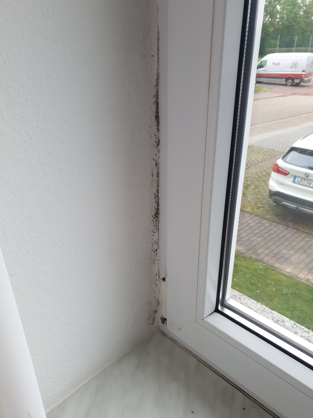 Weißer Fensterrahmen innen; Wandrand mit sichtbarem Schimmel, draußen parkende Autos