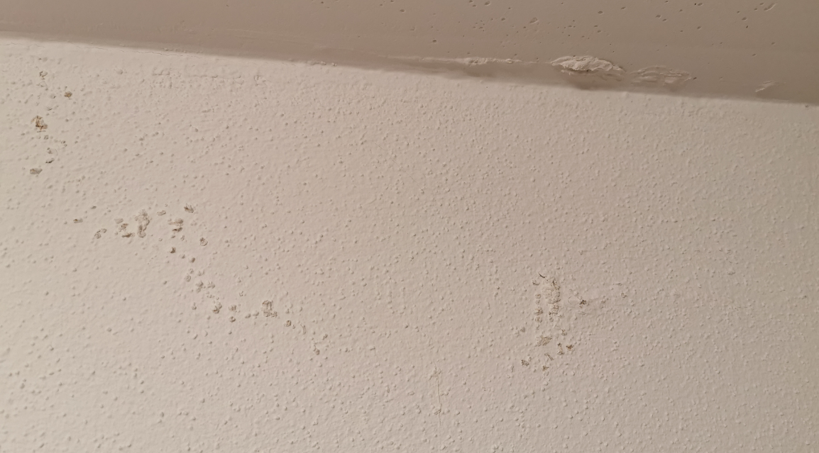 feuchte-stelle-in-deckennaehe-unter-dusche-399734-1.png